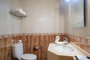 O Pindo阿里亚斯酒店的一间带卫生间和水槽的浴室