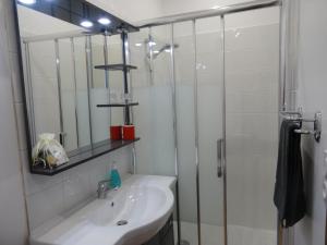 蒙布兰莱班Studio Walla Confort Centre的浴室配有盥洗盆和带镜子的淋浴