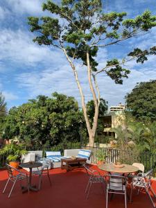 特古西加尔巴帕尔米拉旅馆 的庭院配有桌椅和一棵树