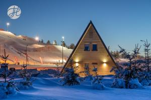 基维厄利Tuhamäe hosteli puhkemaja的夜晚雪中的小房子
