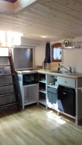 拉蒙维尔圣阿尼studio sur péniche La Tortue的厨房配有水槽和台面