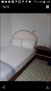 嘉义市永兴大旅社的一张白色的床,上面有两个枕头