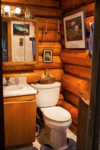 费尔班克斯A Taste of Alaska Lodge的小木屋内的浴室设有卫生间和水槽。