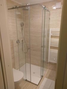 Dol pri Ljubljani维格弗赫拉姆酒店的设有带卫生间的浴室内的淋浴间