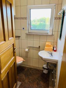 布罗达里卡Apartments Home & Garden Lavanda的一间带卫生间、水槽和窗户的浴室
