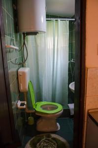 波德戈里察Studio-apartman Milena的浴室配有绿色卫生间和水槽。