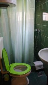 波德戈里察Studio-apartman Milena的浴室配有绿色卫生间和水槽。
