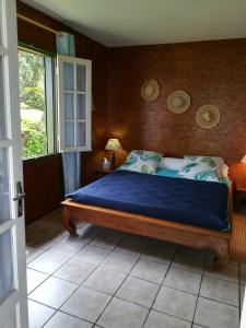 卡夫尔高原L'ESTAGNON的一间卧室配有一张带蓝色床单的床和一扇窗户。