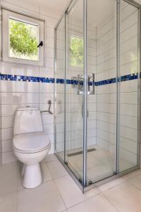 巴尔Tramontana Glamping的一间带卫生间和玻璃淋浴间的浴室
