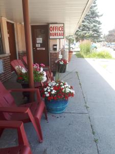 鲍曼维尔自由汽车旅馆的人行道上带红色椅子和鲜花的加油站