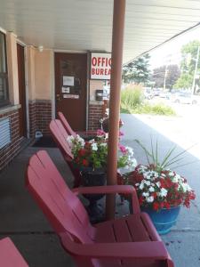 鲍曼维尔自由汽车旅馆的咖啡馆外的红色椅子,鲜花盛开