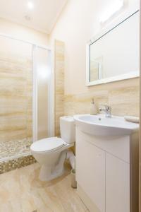 里加Nika Apart Hotel的浴室配有卫生间、盥洗盆和淋浴。