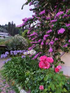 托斯科拉诺-马德尔诺Ostello delle cartiere的墙上有粉红色和紫色花卉的花园