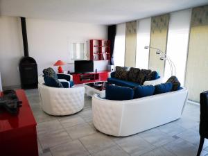维斯Luxury apartment Prestige Villa Bellevue的客厅配有两张沙发和一台电视