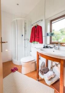 拉本兰德伽斯豪富苏尔林德拉本酒店的一间带水槽、淋浴和卫生间的浴室