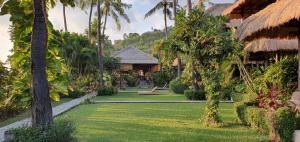 艾湄湾珊瑚景别墅酒店的棕榈树花园及度假村