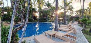 艾湄湾珊瑚景别墅酒店的一个带躺椅和棕榈树的度假游泳池