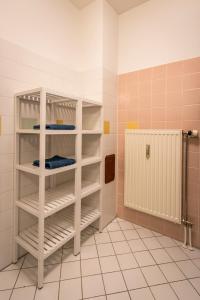 格拉茨Flataid Apartment Obere Bahnstraße - Grazer Messe的一间带淋浴的浴室,配有白色的架子
