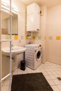 格拉茨Flataid Apartment Obere Bahnstraße - Grazer Messe的一间带洗衣机和水槽的浴室