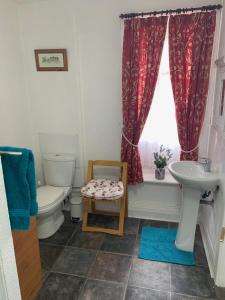 布莱克浦Sarnia holiday flats的一间带卫生间、水槽和窗户的浴室