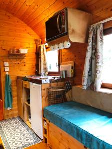 米利拉福雷Millygite Chalet-on-wheels by the river的小屋内厨房的内部景色