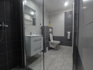 卢奇基Apartmán Choč的浴室配有卫生间、盥洗盆和淋浴。