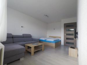 卢奇基Apartmán Choč的客厅配有沙发和1张床
