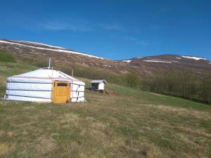 阿克雷里Iceland yurt的相册照片