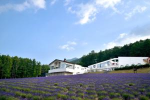 富良野富良野高地酒店的一座建筑前方的紫色花田