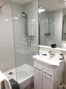OakfordThe Red Lion Hotel的带淋浴和盥洗盆的白色浴室