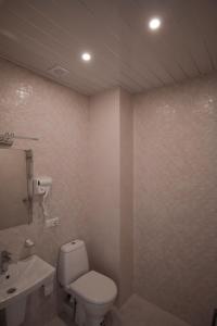 谢赫维蒂利Black Sea Riviera Hotel的一间带卫生间和水槽的浴室