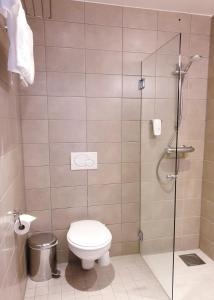 海宁格松Banken Hotel的一间带卫生间和玻璃淋浴间的浴室