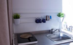 阿茨特雷扎Appartamento in Villa Agnese的厨房柜台设有水槽和水槽