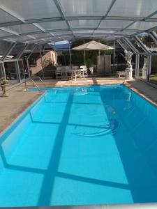 塞莱斯塔Chez Michel et Sylviane gite2的一个带遮阳伞的大型蓝色游泳池