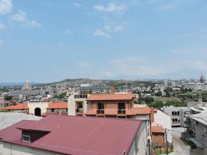 第比利斯Apartment Panorama的享有红色屋顶的城市美景