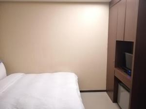 台北山乐温泉酒店的一间酒店客房,配有一张床和一台电视