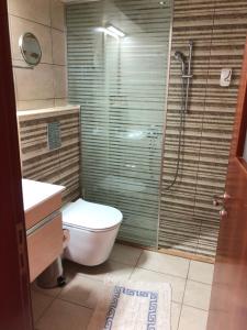 凯法洛斯安托里斯公寓的一间带卫生间和玻璃淋浴间的浴室