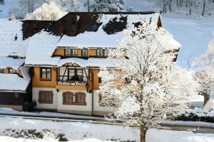 托特瑙希斯申酒店的雪覆盖着树的房子