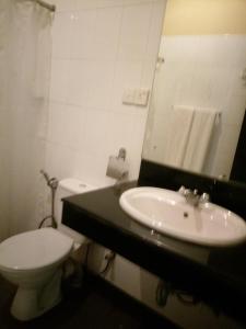 基图尔格勒Kithulgala Rest House的一间带水槽、卫生间和镜子的浴室