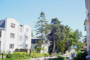 诺伊霍夫Villa Seestern _ strandnah的一条拥有两栋白色建筑和树木的城市街道
