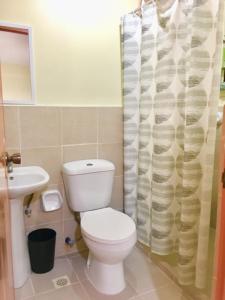 邦劳Johann’s Place Panglao的一间带卫生间和淋浴帘的浴室