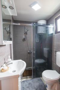 ZaovineBrvnare Krstigora的带淋浴、卫生间和盥洗盆的浴室