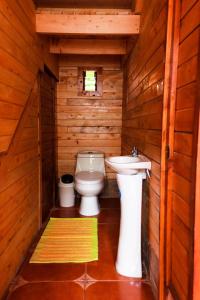 CopeyClusia Lodge的一间带卫生间和水槽的浴室