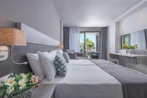 卡尼奥提Dionysos Hotel & Suites的酒店客房设有一张大床和一张书桌。