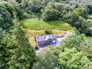 MaentwrogHilltop Cottage/ Penrhiw的森林中间房屋的空中景观