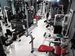 奥西耶克FLAMINGOS Apartman & Fitness OSIJEK - blizina Bolnice KBC Osijek的健身房,展示了许多有氧器材