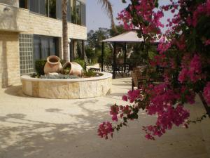 海法马姆海酒店的一座庭院,在一座建筑前方有一个喷泉,上面有粉红色的花朵