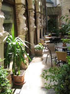 安特卫普三王旅馆的户外庭院设有桌椅和植物