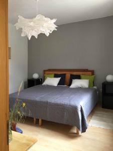 施托尔贝格哈尔茨Apartment am alten Markt的一间卧室配有一张带蓝色棉被的床