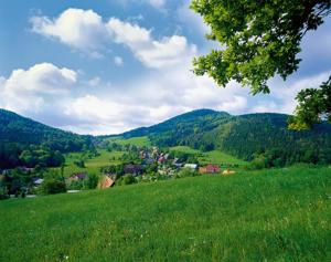 瓦尔特尔斯多夫Hubertusbaude的绿山坡,田野中间有一座城镇